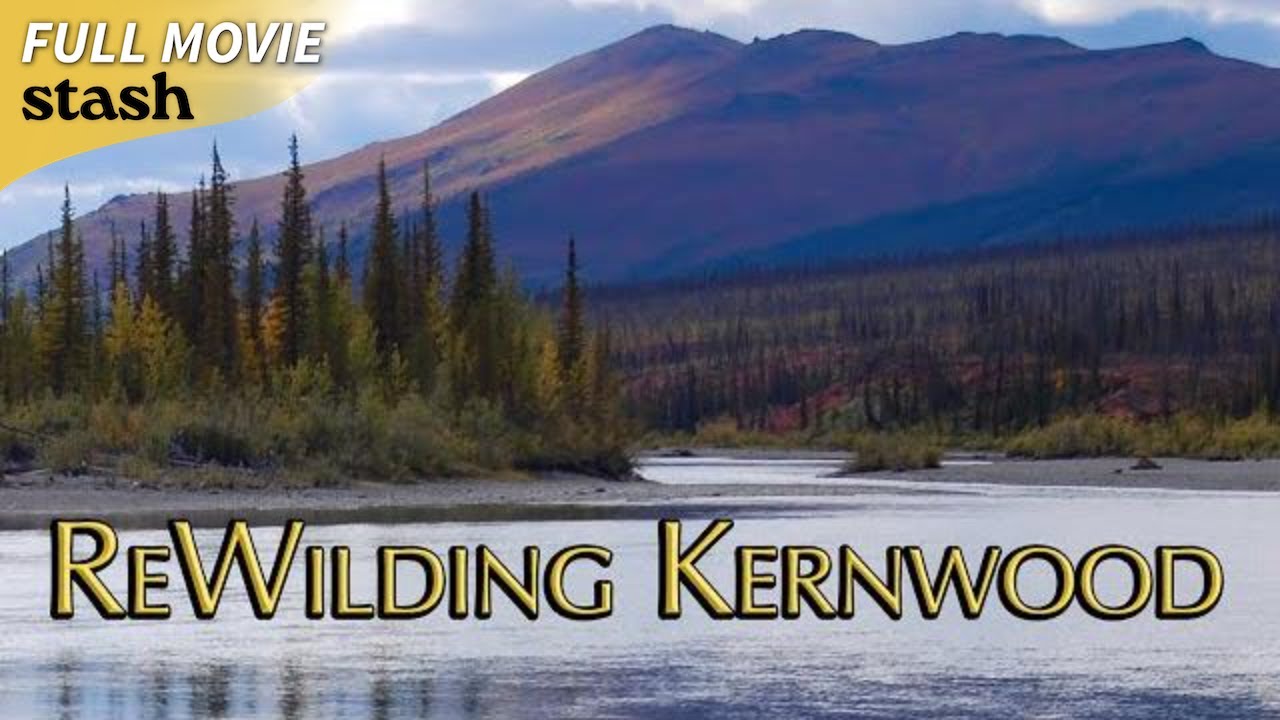 ReWilding Kernwood | Slice of Life Documentary | Full Movie | Jean Aspen
