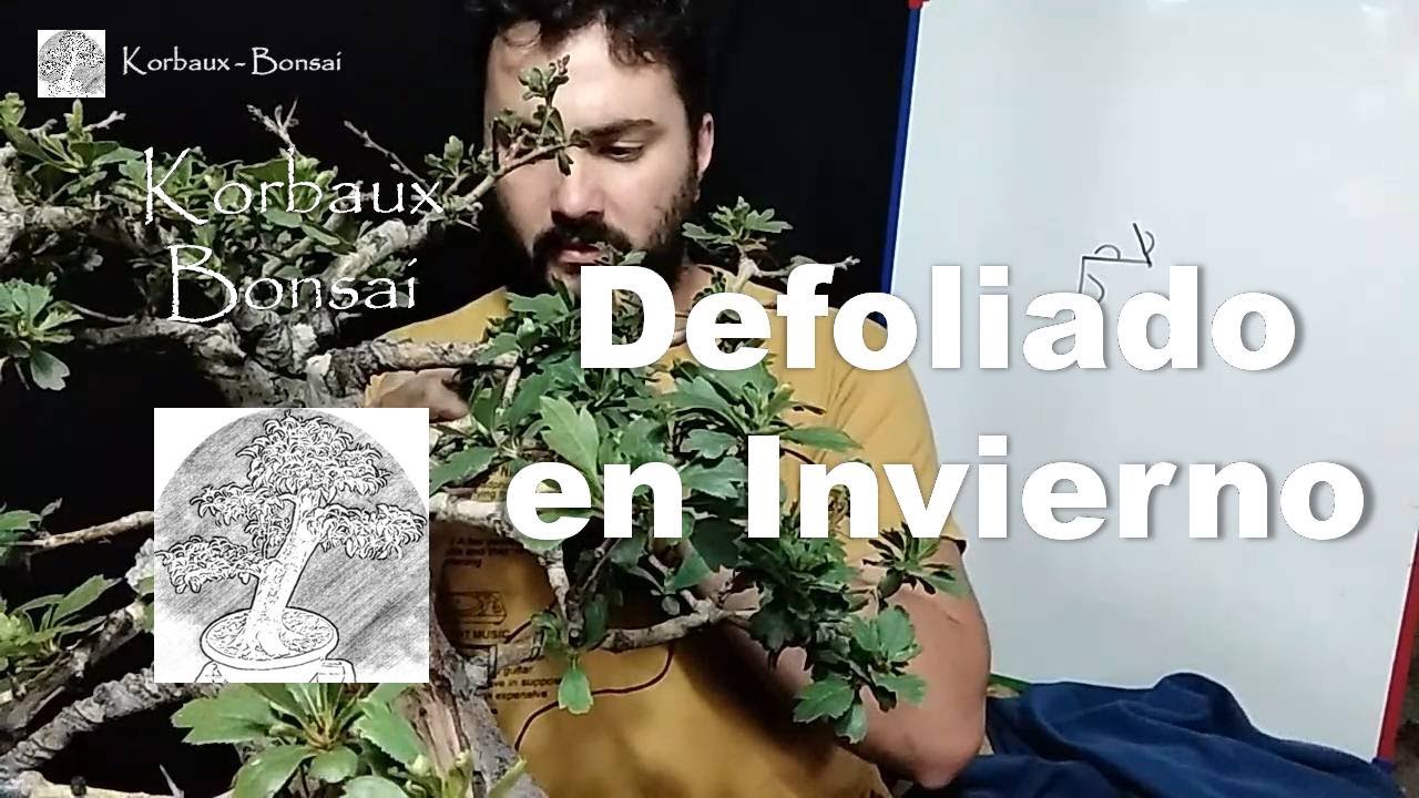 Defoliado de Invierno