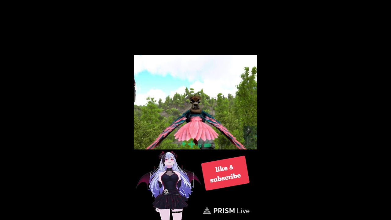 Live streaming of Z pandapapu Sunday live funday live 