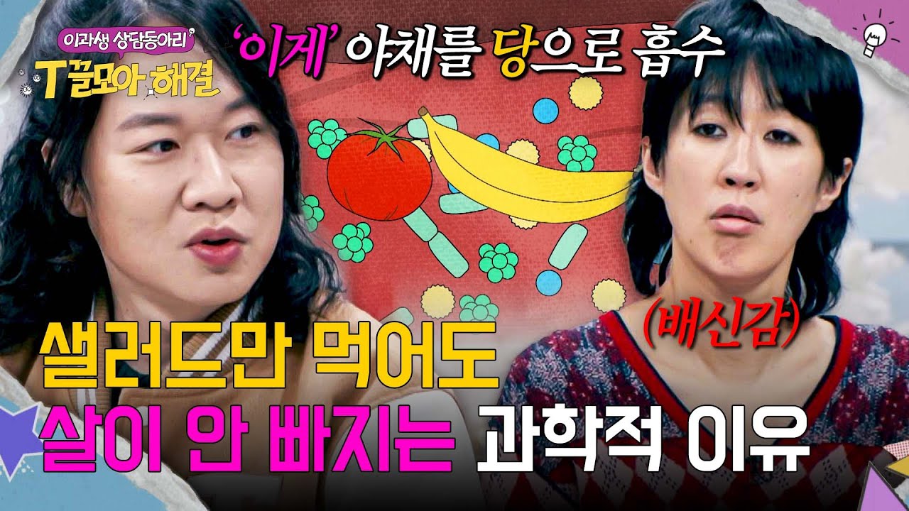 샐러드 먹어도 다이어트 실패하는 이유, '이것' 때문이다? | T끌모아 해결 3회 | JTBC 251224 방송
