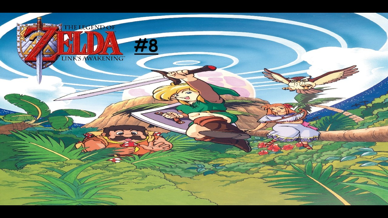 Doing Nothing - Links Awakening 8