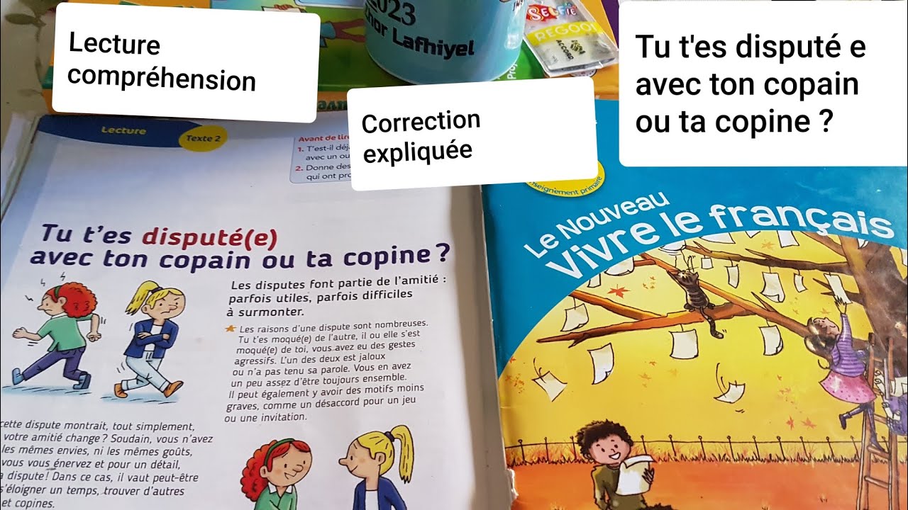 Lecture. Tu t'es disputé e avec ton copain ou ta copine ? CE2 p.30, p.14 du cahier