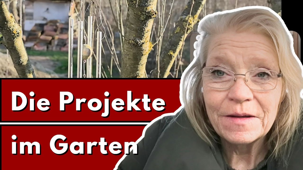 Müde aber voller Ideen! #alltaginungarn #ungarnerleben