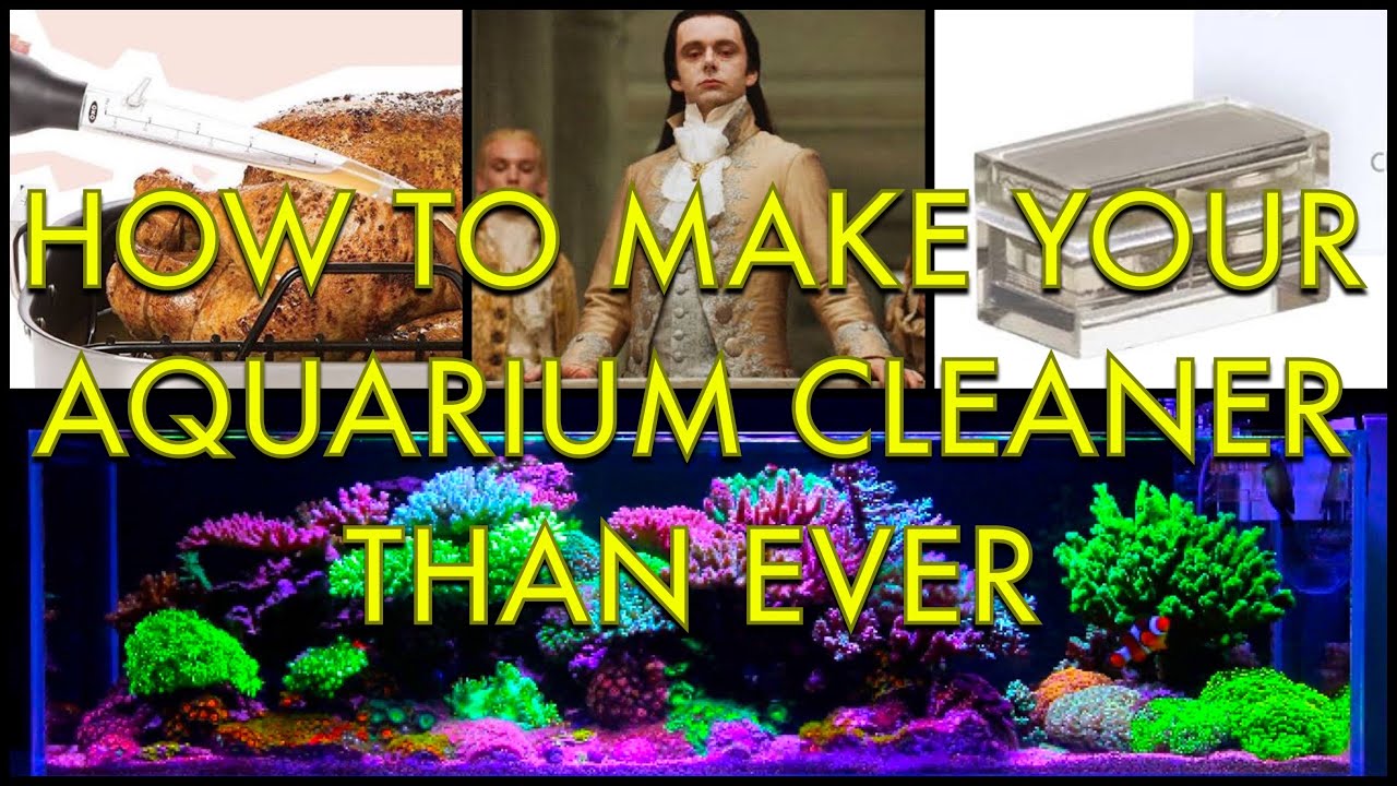 Take Your Aquarium Cleaning To The Next Level - 5 Must Have Tools For Pristine Tanks