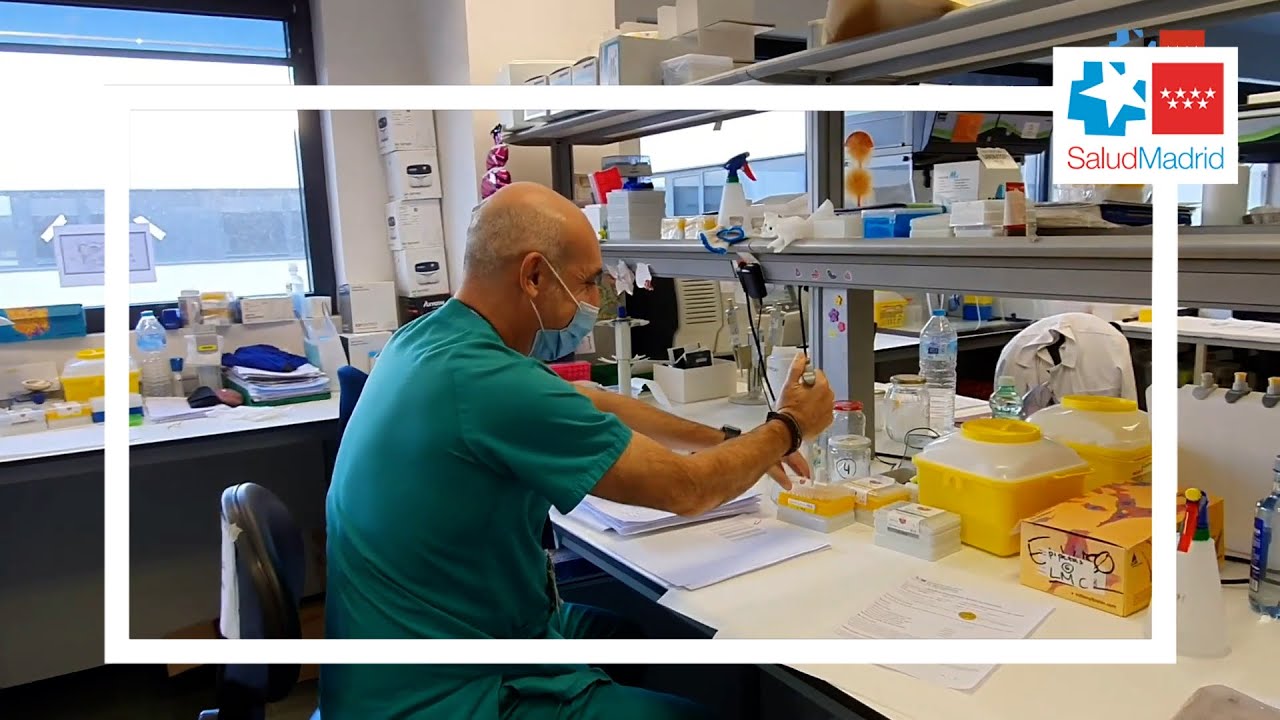 Nueva terapia en pacientes con mieloma múltiple - Hospital 12 de Octubre