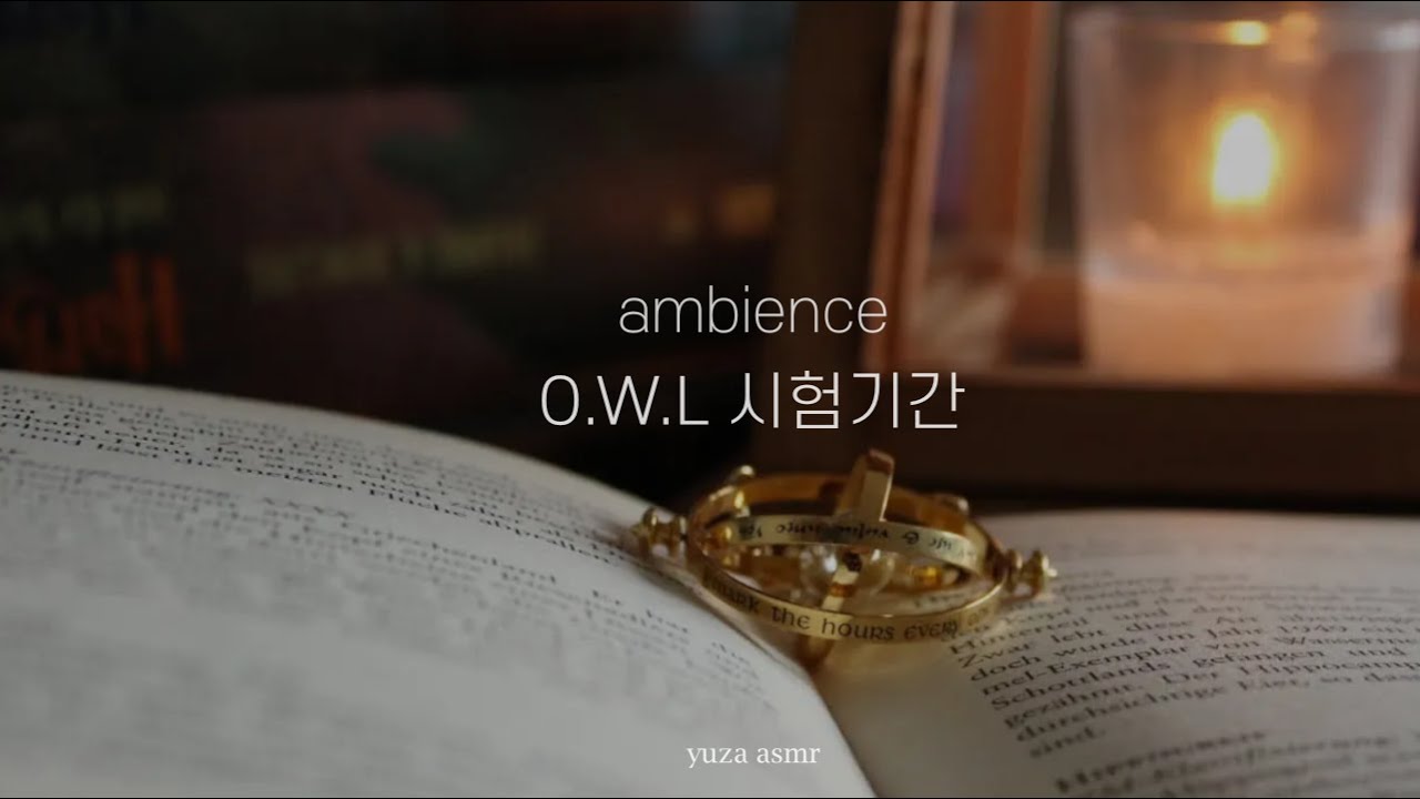 ASMR 호그와트 O.W.L. 기간, 래번클로 5학년들 I Hogwarts Owl Studying