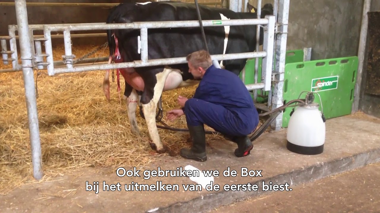 Spinder Cuddle box (NL)