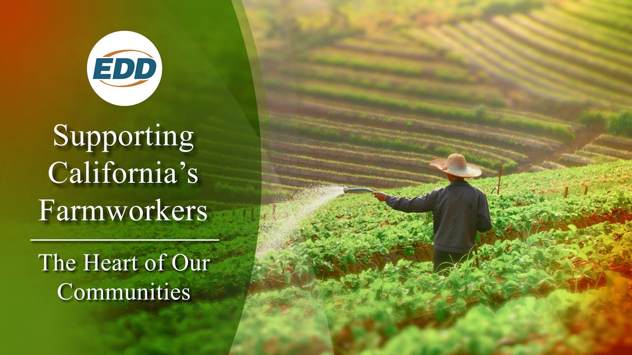 Supporting California’s Farmworkers: The Heart of Our Communities