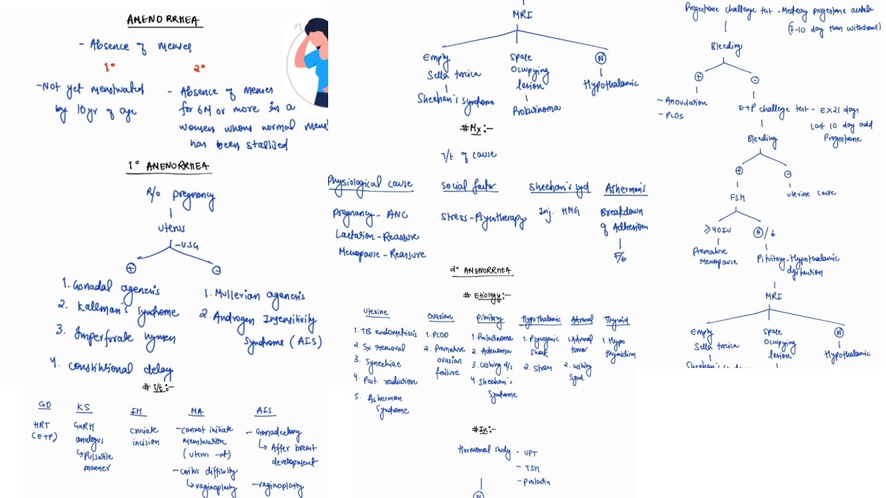 AMENORRHEA NOTES  | 1&deg; | 2&deg; | GYNECOLOGY | OBGY | ONE PAGE NOTES | 4TH PROFF | MBBS