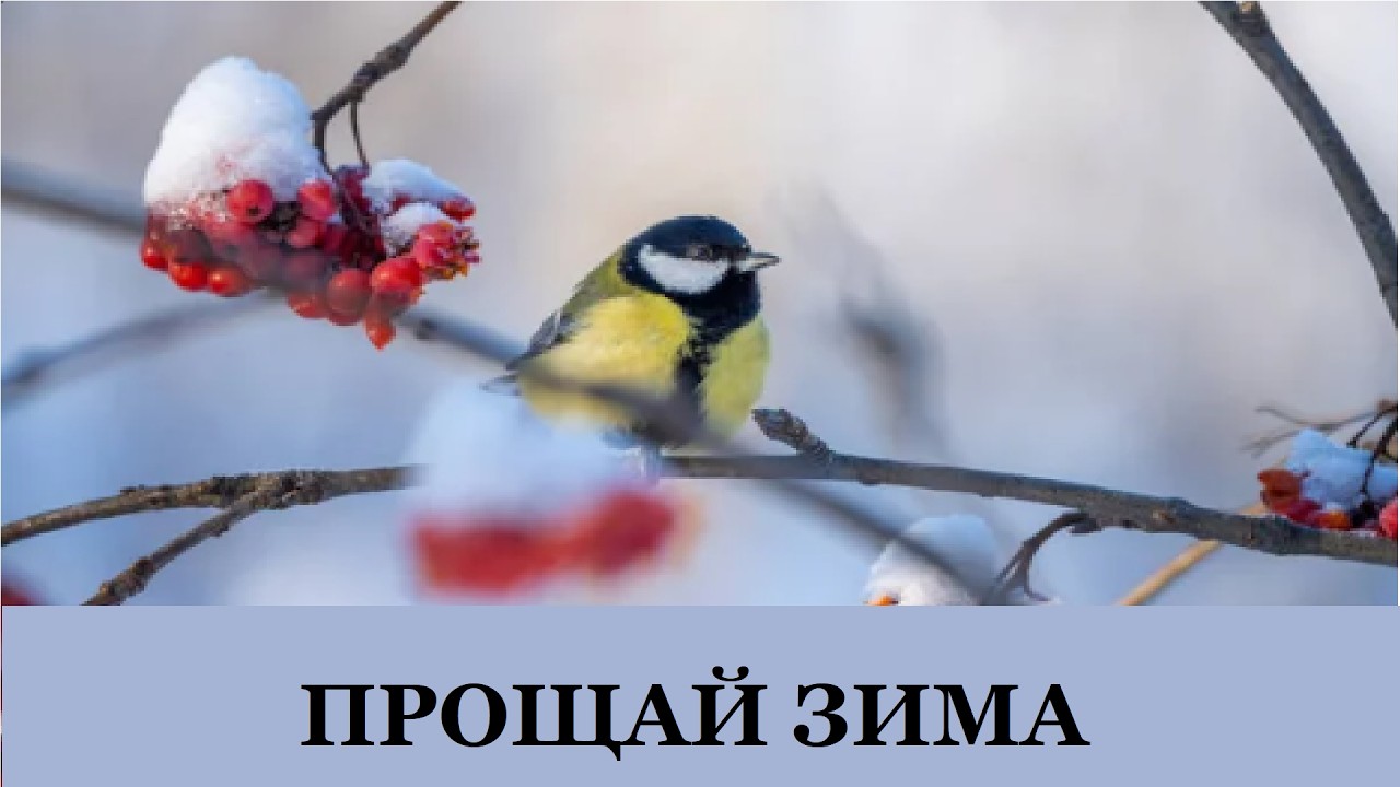 Прощай Зима Когда зима уходит