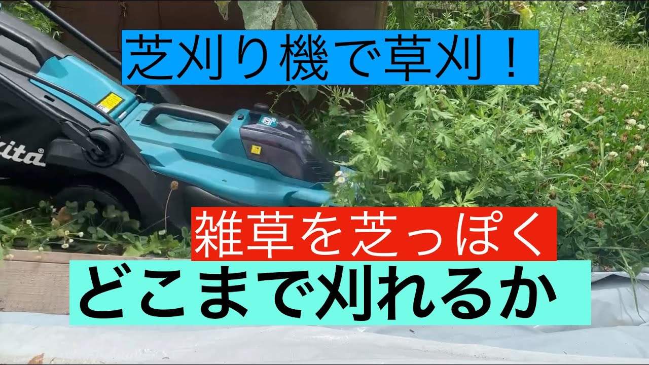 芝刈り機で草刈りをする。雑草を芝っぽく刈る。マキタ　MLM330DZ