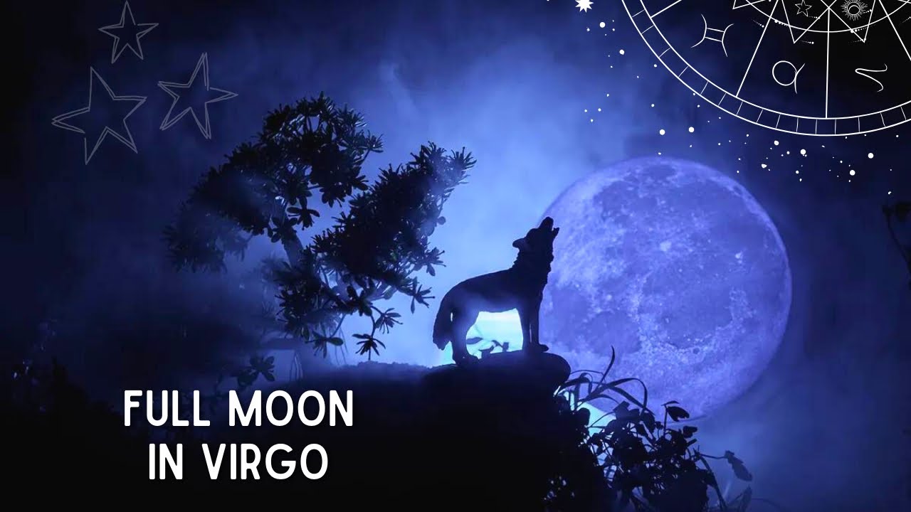 Full Moon🌕Night ‘n Day major shift w/soulmates, DF refocused on abundance ~DM emotional & held up⚖️