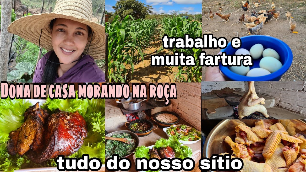 UM DIA DA MINHA ROTINA AQUI NA ROÇA/MUITO SERVIÇO/ALMOÇO COM PERNIL NA AIR FRYER/ LIMPEI FRANGO E +