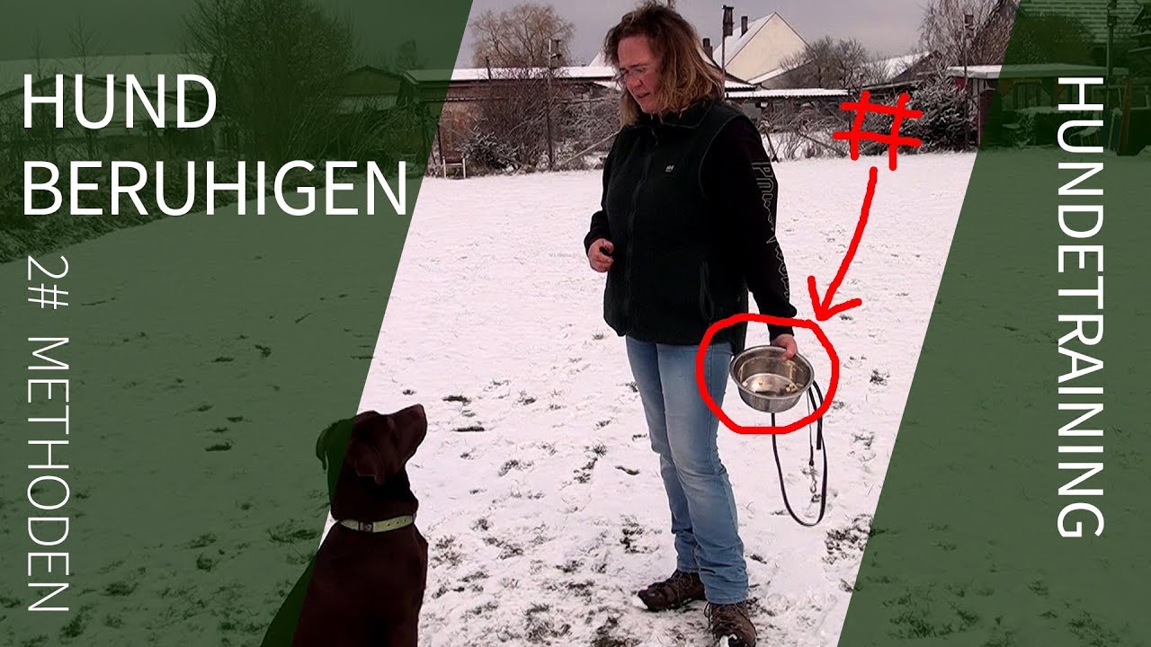 Hund beruhigen ► 2 effektive Methoden zur Hund Beruhigung ► Hund beruhigen