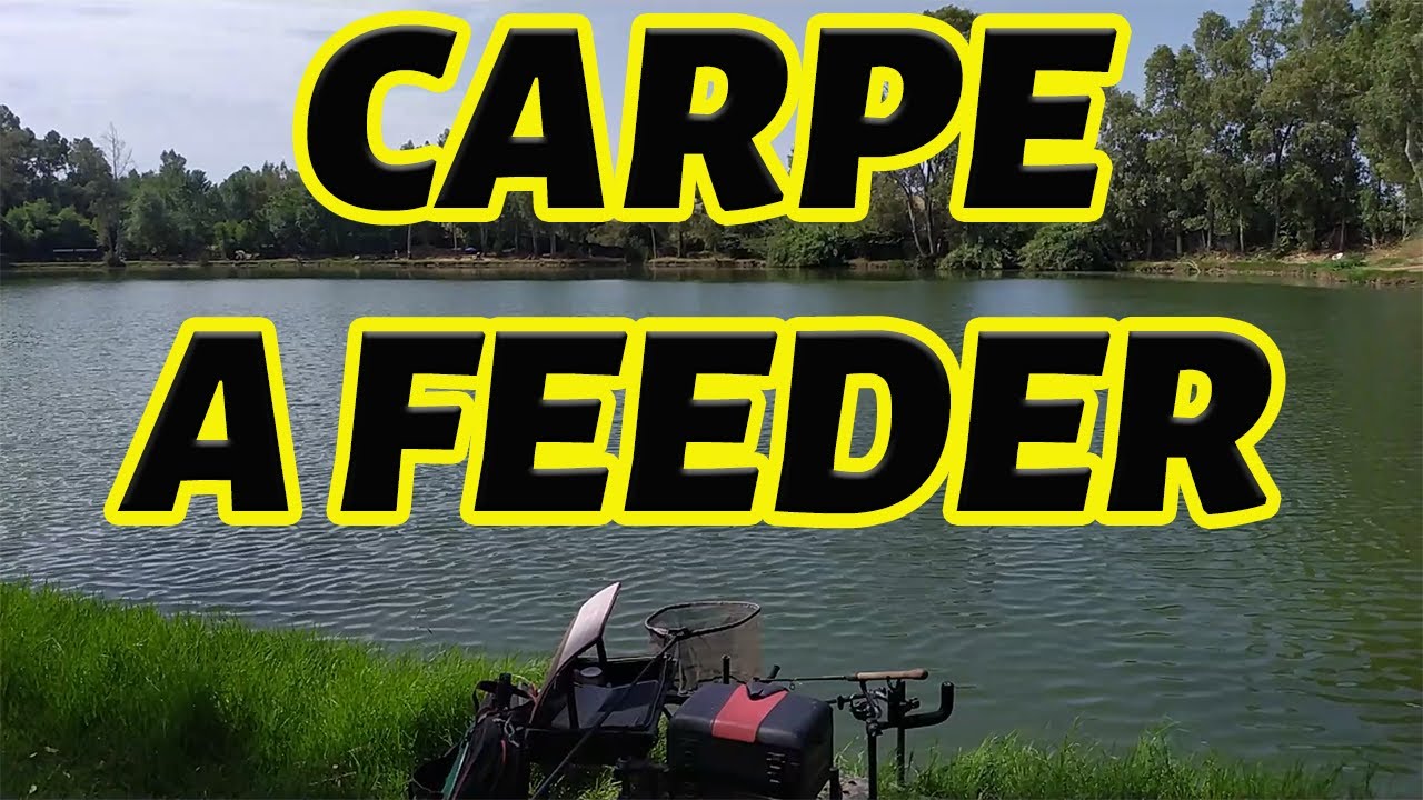 COME PESCARE LE CARPE A METHOD FEEDER | LAGO MANZOLINI
