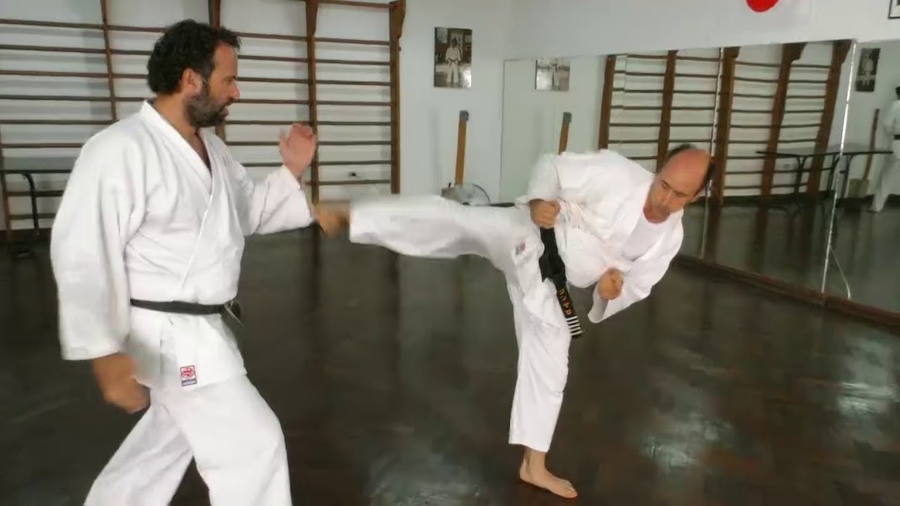 Karate Do Shorin Ryu