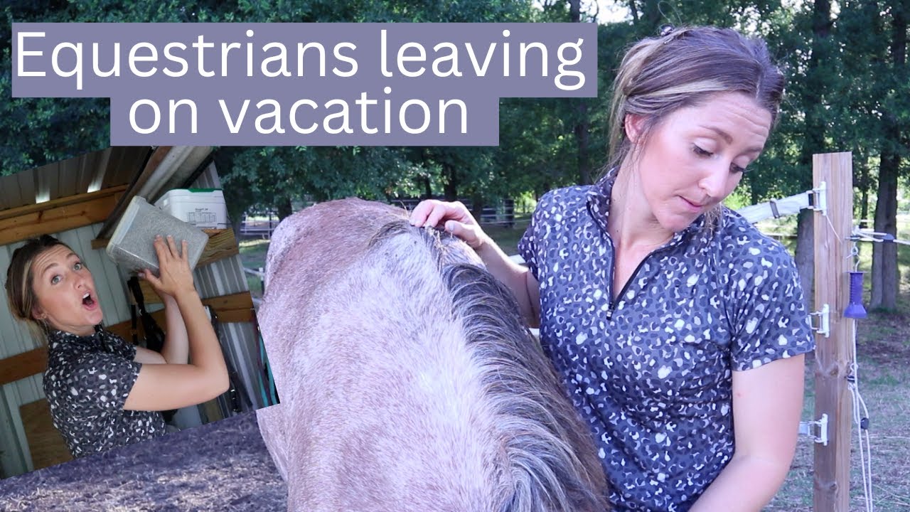 when equestrians leave for vacation 😂 | funny horse videos