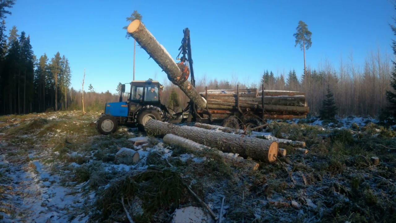 MTZ 820 winter logging