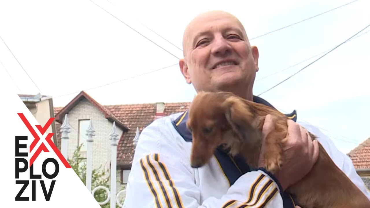 Kinološki savez predložio uvođenje poreza na pse - EXPLOZIV