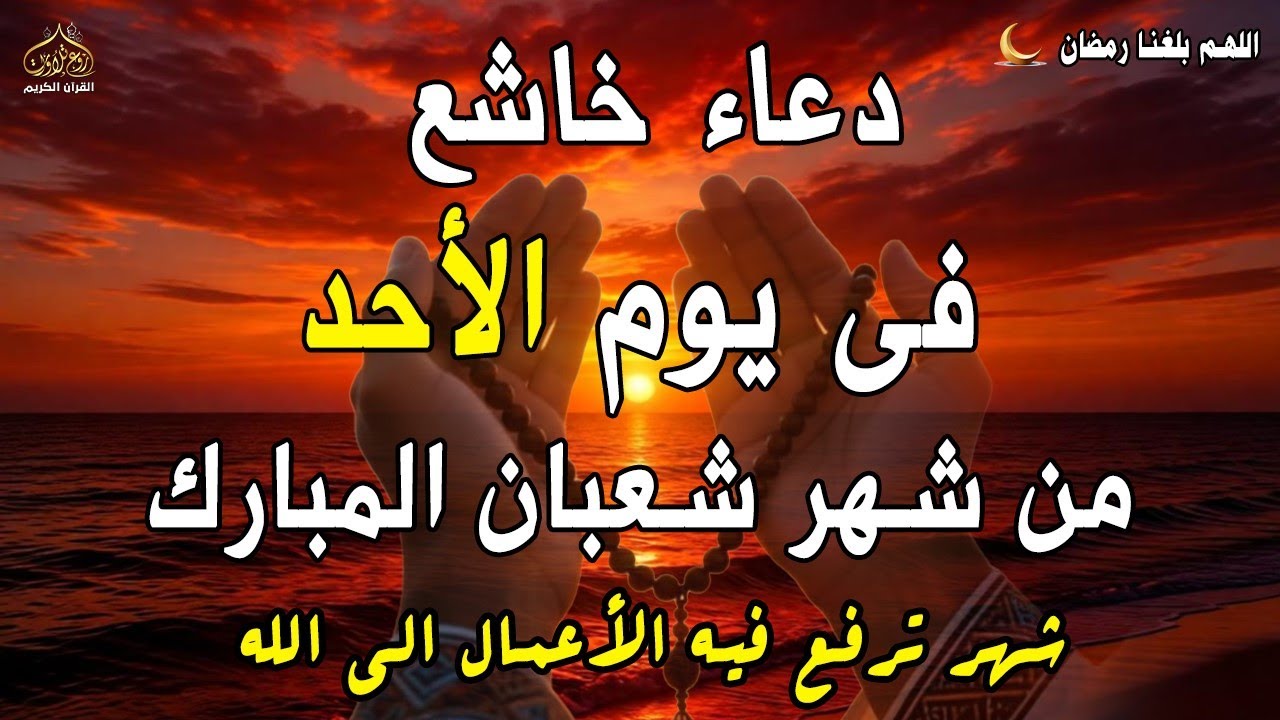 دعاء فى يوم السبت المستجاب دعاء يوم 5 من شهر شعبان للرزق والشفاء العاجل وقضاء الحوائج 🤲(4k)
