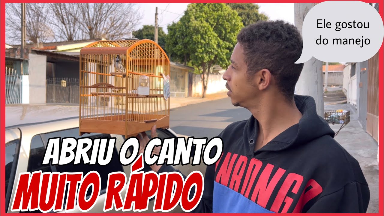 ESTOUROU O CANTO NA MÃO DO JOSIEL COLEIRO PAPALÉGUAS