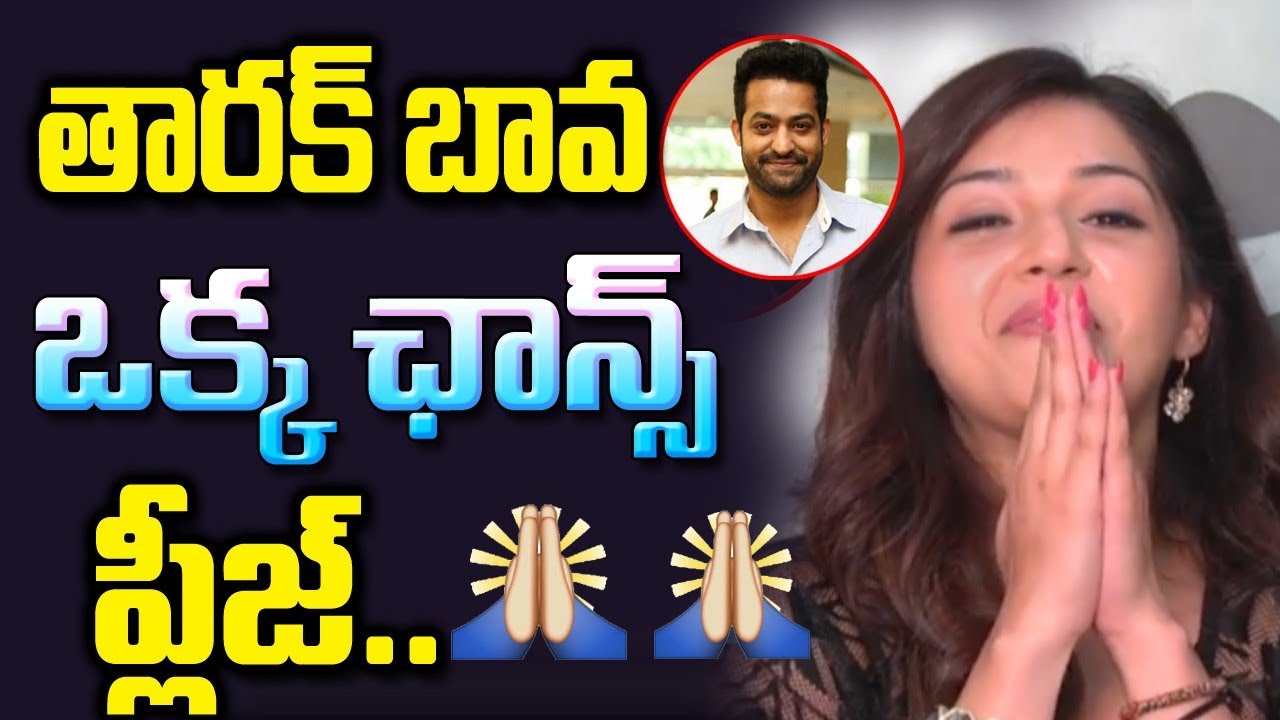 Actress Mehreen Kaur  Shoking Comments On jr NTR | Pitki Fun Videos