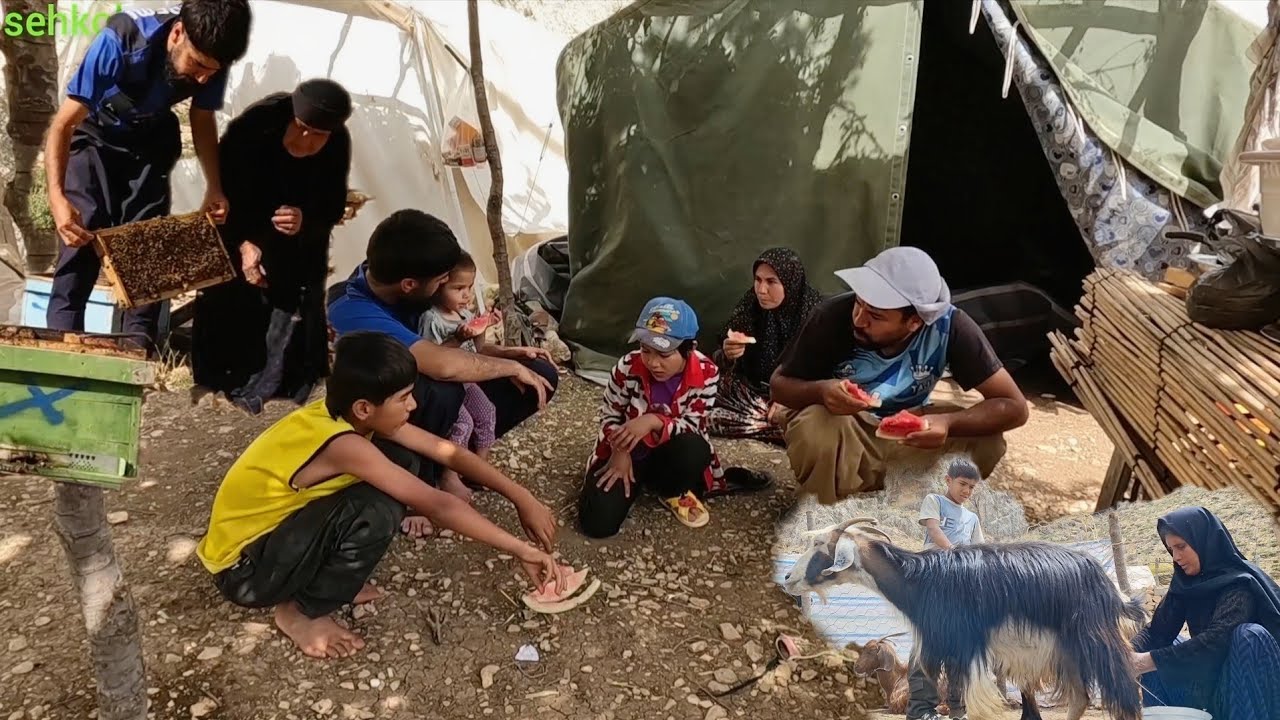 Nomadic Family Life in Iran&rsquo;s Zagros Mountains | Goat Milking, Beekeeping & Traditional Cooking