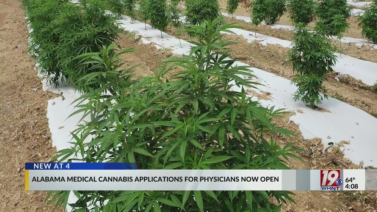Alabama Medical Cannabis Applications for Physicians Now Open | Jan. 9, 2026 | News 19 at 4 p.m.