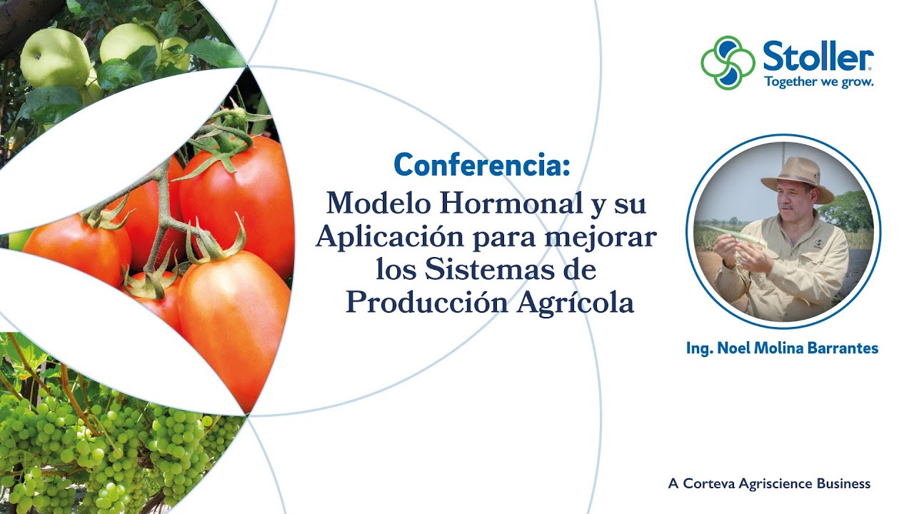 Modelo Hormonal y su Aplicación para mejorar los Sistemas de Producción Agrícola