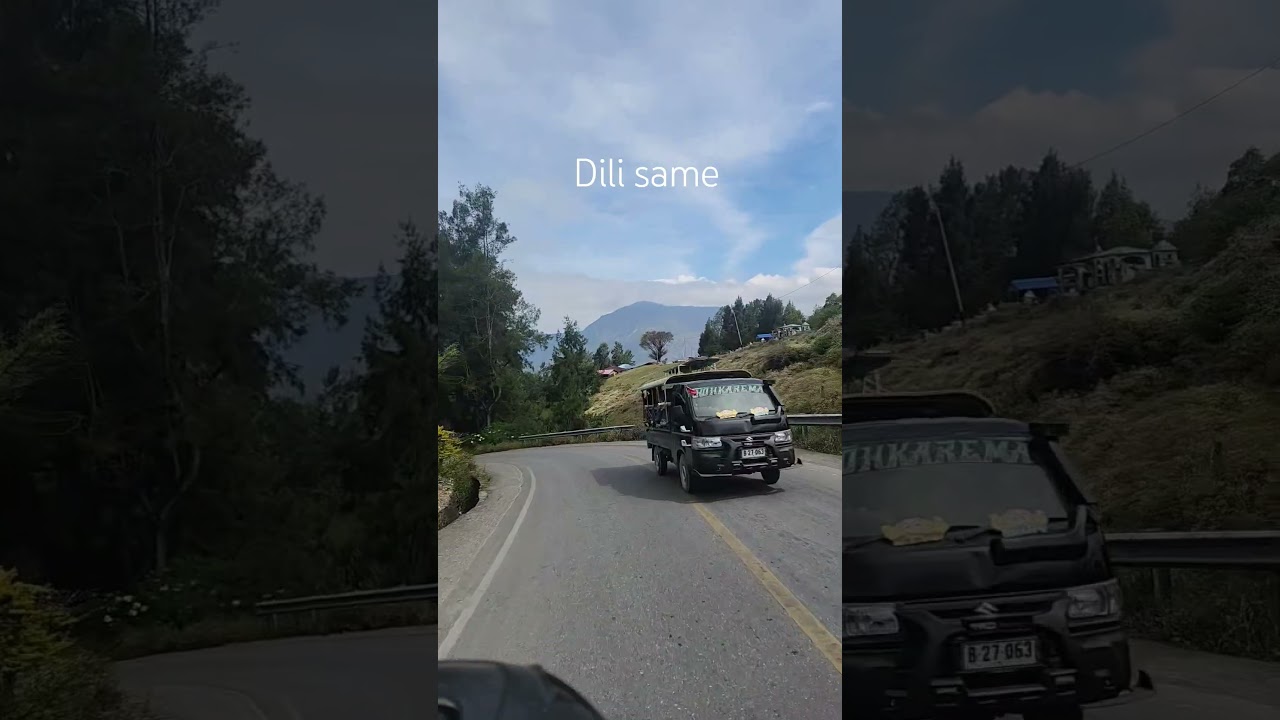 music viral timor leste se dunia
