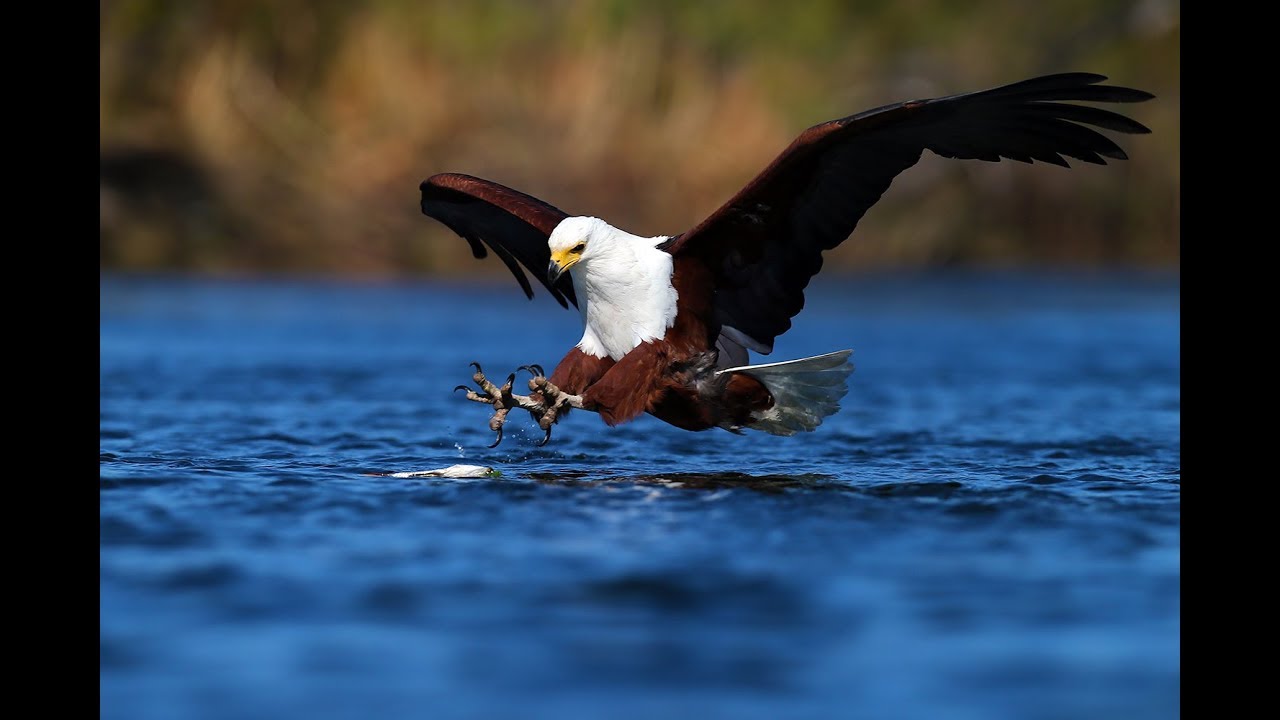 El Condor Pasa - Wilhelm Bröslmeyr - Panflöte - Pan Flute - Flauta de Pan - Wilhelm Bröslmeyr