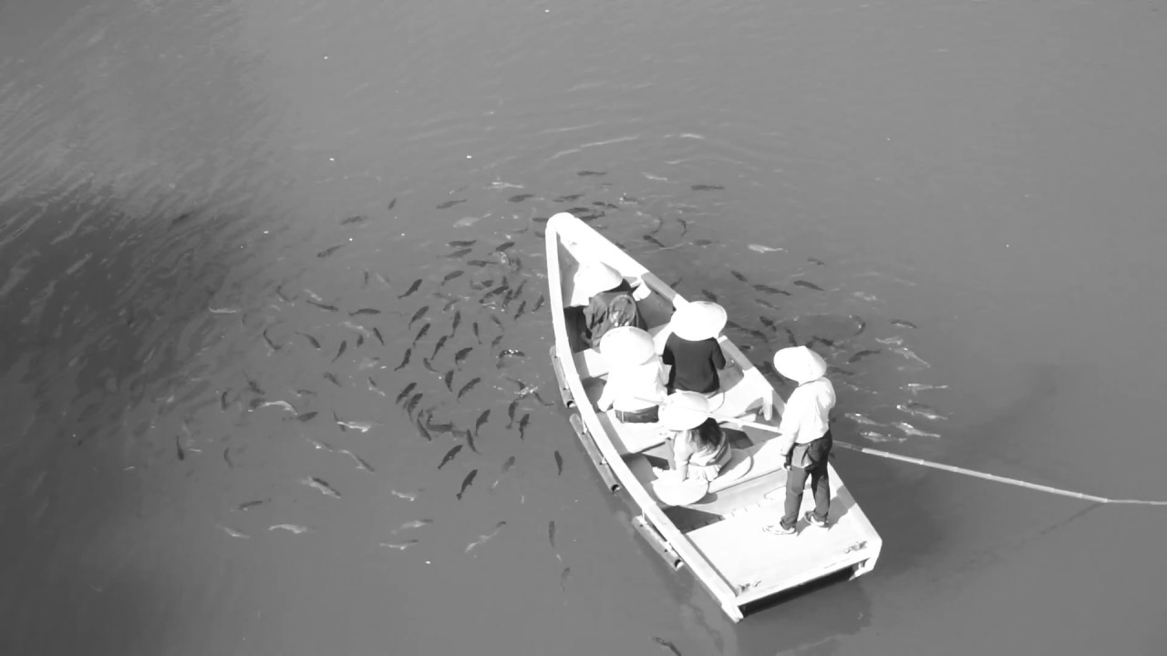 I have a hurt「体温」