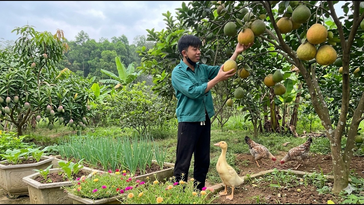 Homestead Life: Growing Onions, Organic Vegetables and Raising Egg Chickens