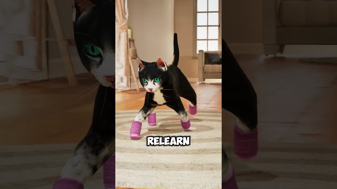 Don't Declaw Your Cat 😰