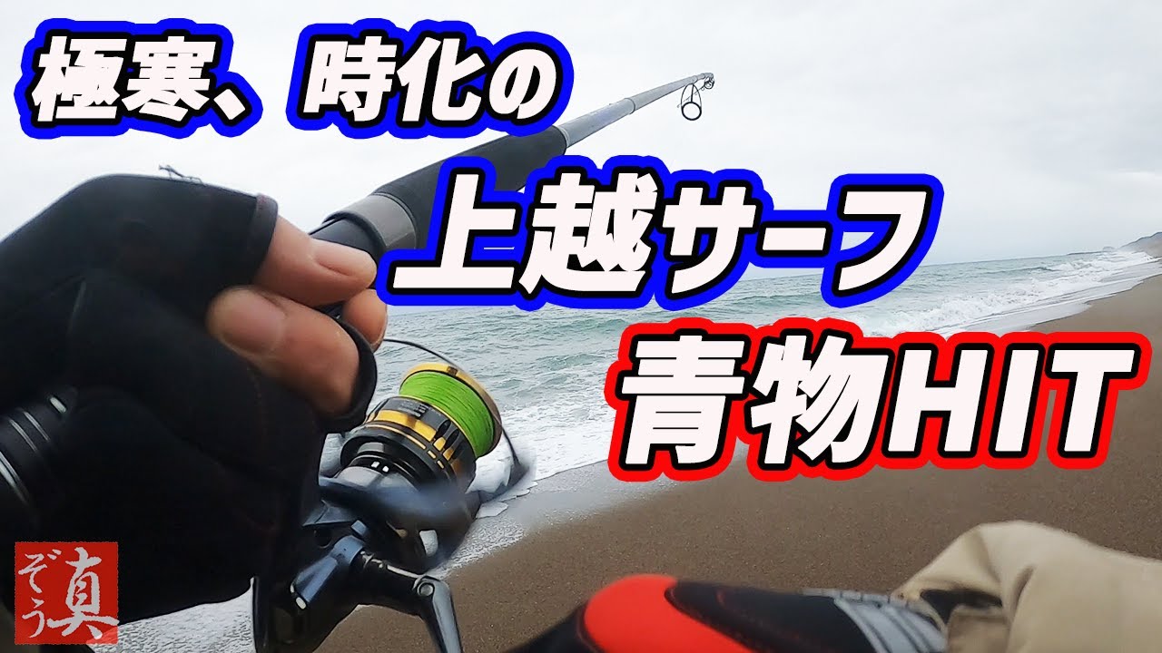 【上越サーフ】極寒日本海で青物ゲット！～サゴシの藁焼き