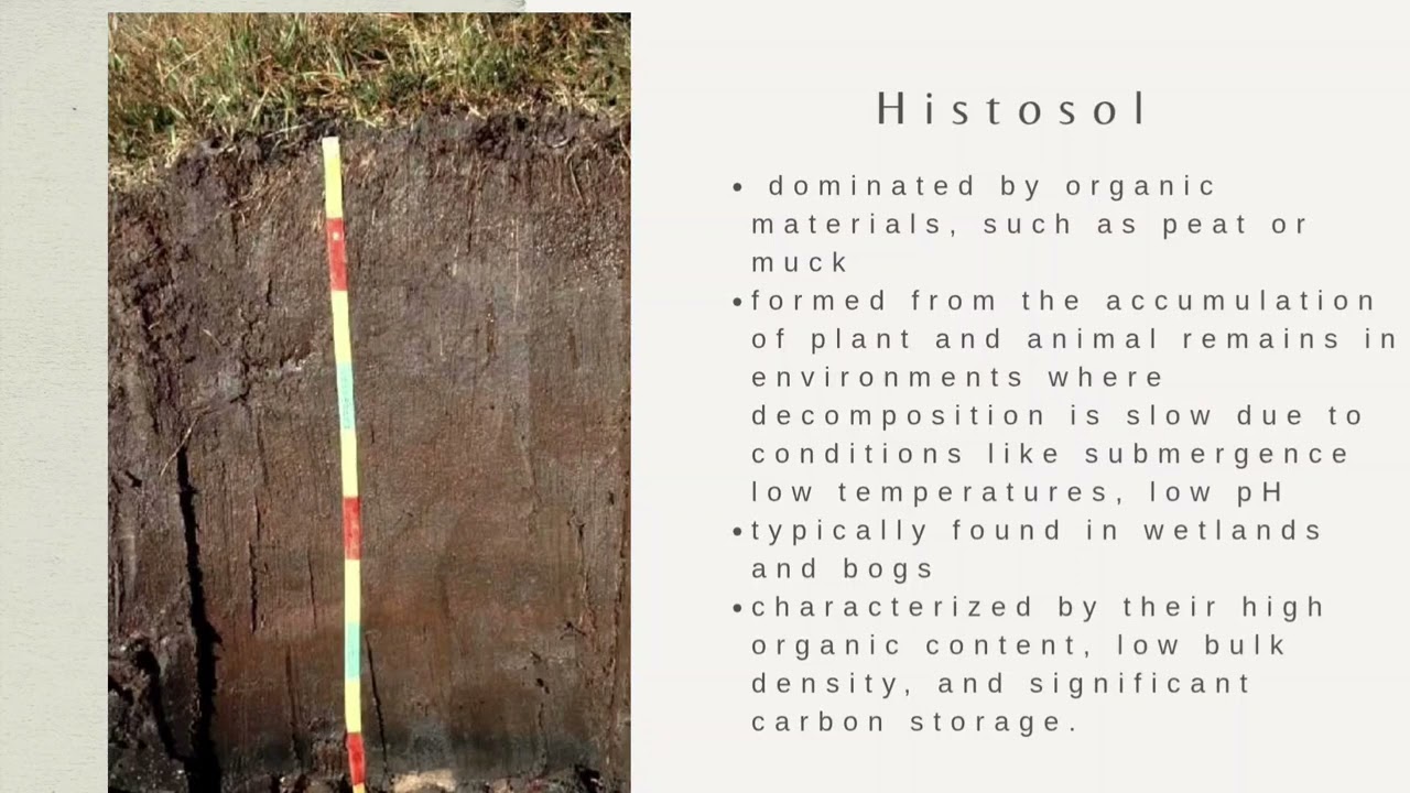 The 12 Soil Order based on the USDA Soil Taxonomy