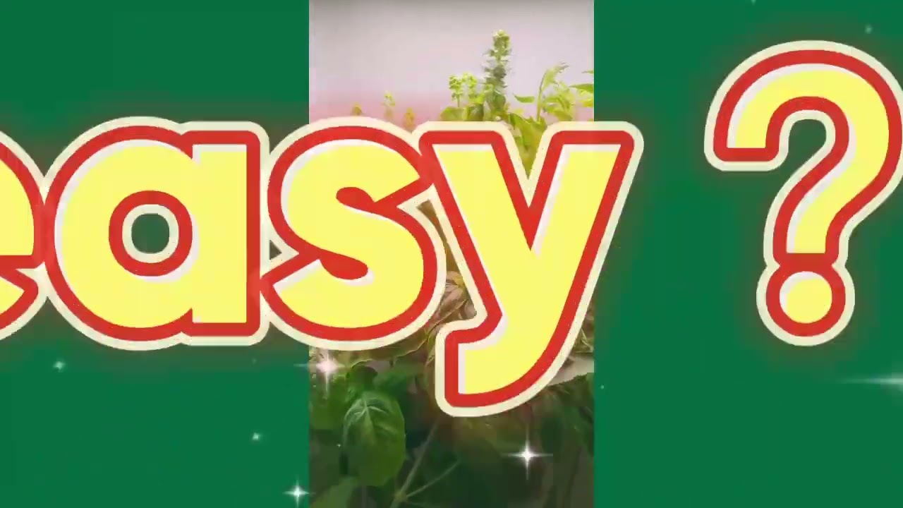 Looking to grow plants at home?