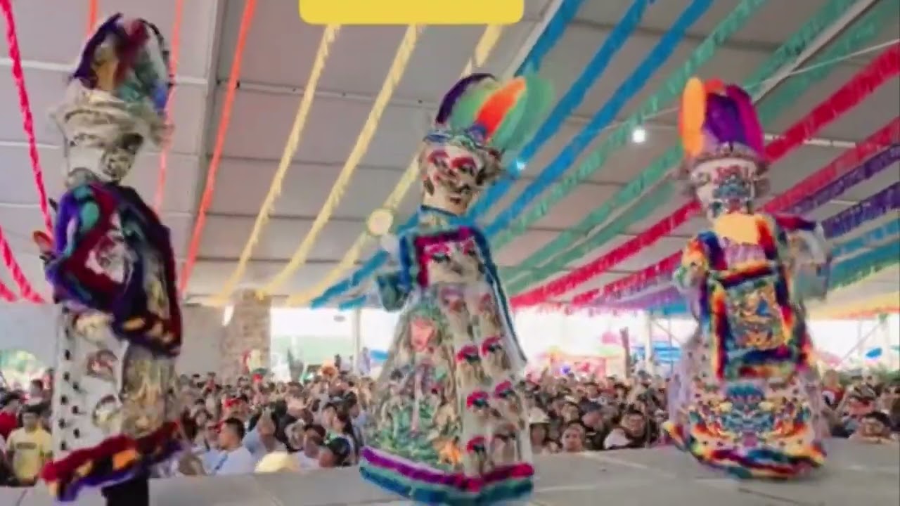 RECOPILACI&Oacute;N CARNAVAL YAUTEPEC 2024 #mexico #morelos #video #viral #fypシ #foryou #funny #fyp