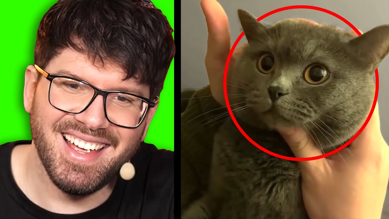 Clips, die gute Laune machen 😊