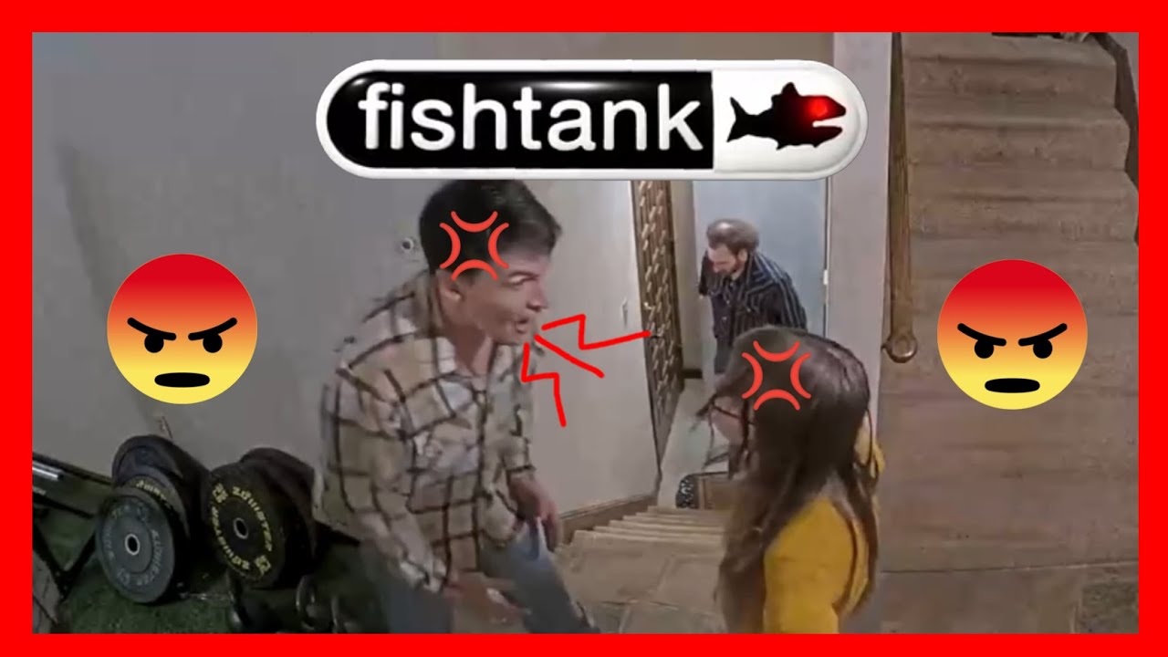 Brian Vs Summer FREAKOUT Fishtank S2 Day 4