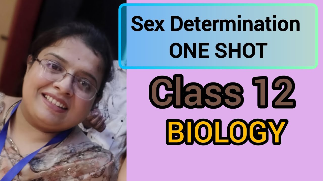 Sex Determination one shot class 12 Sex determination Method