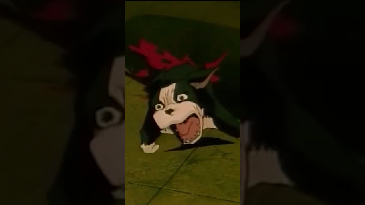 Этого аниме OVA не существует