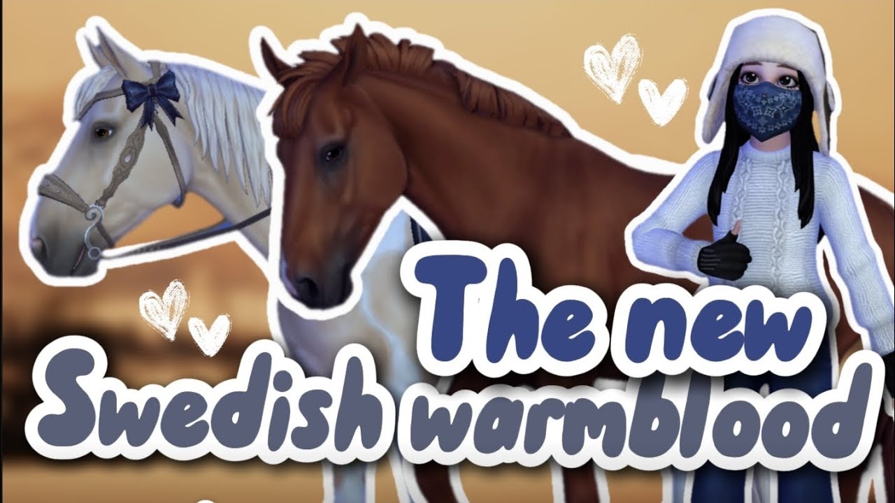 Buying the New Swedish warmbloods!!