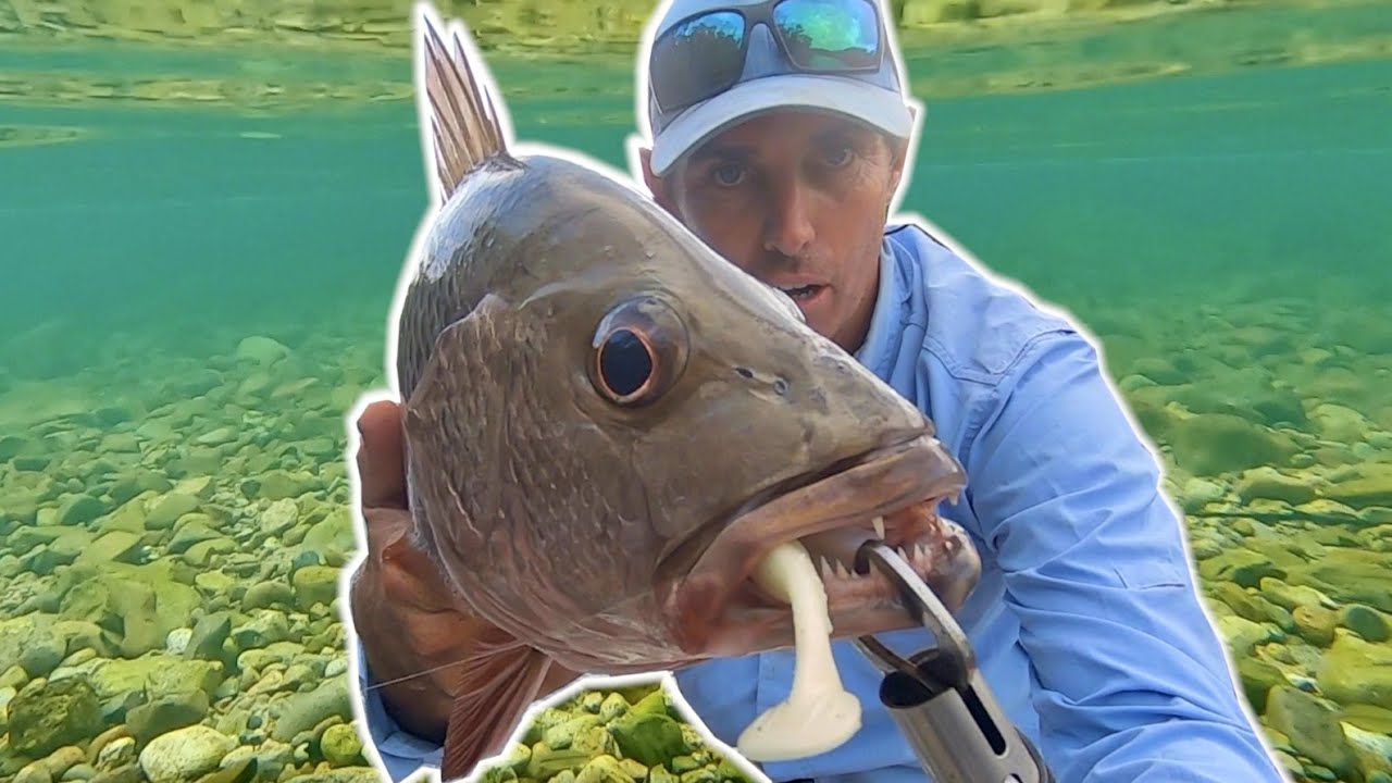 Fishing a remote creek loaded with fish!
