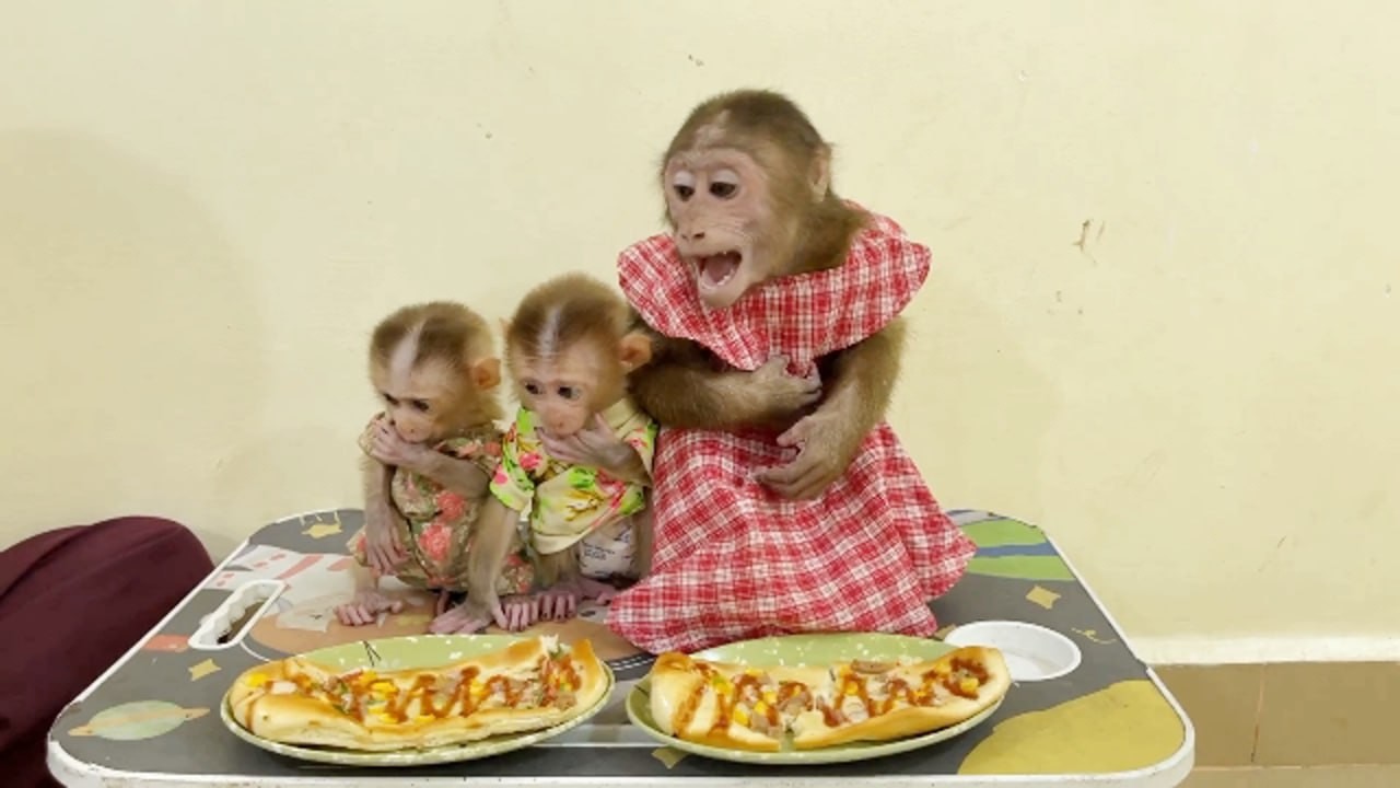 Chichi Craving Voice But Twin Baby Silently Wait Mom Approval