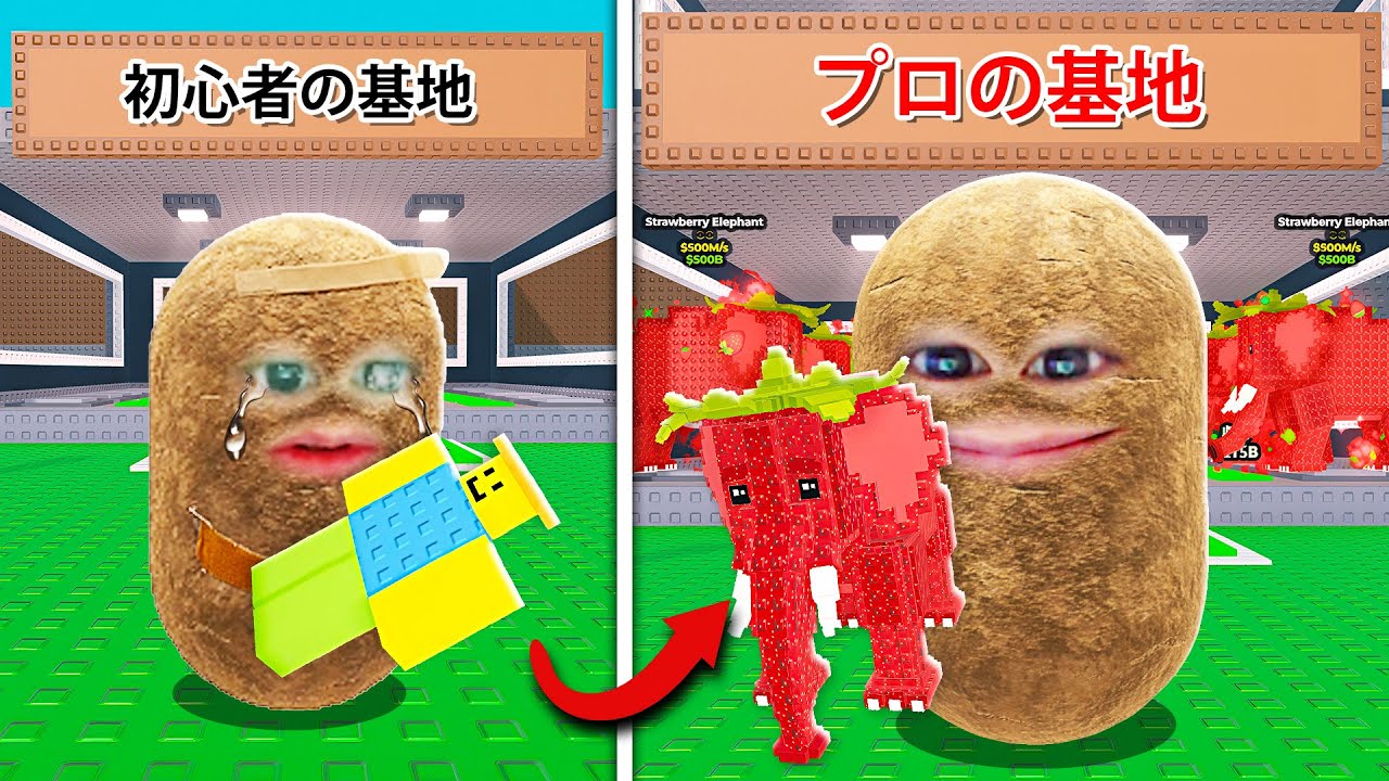 ストロベリーエレファントだけを使って初心者からプロになるブレインロットを盗むロブロックス (Roblox)