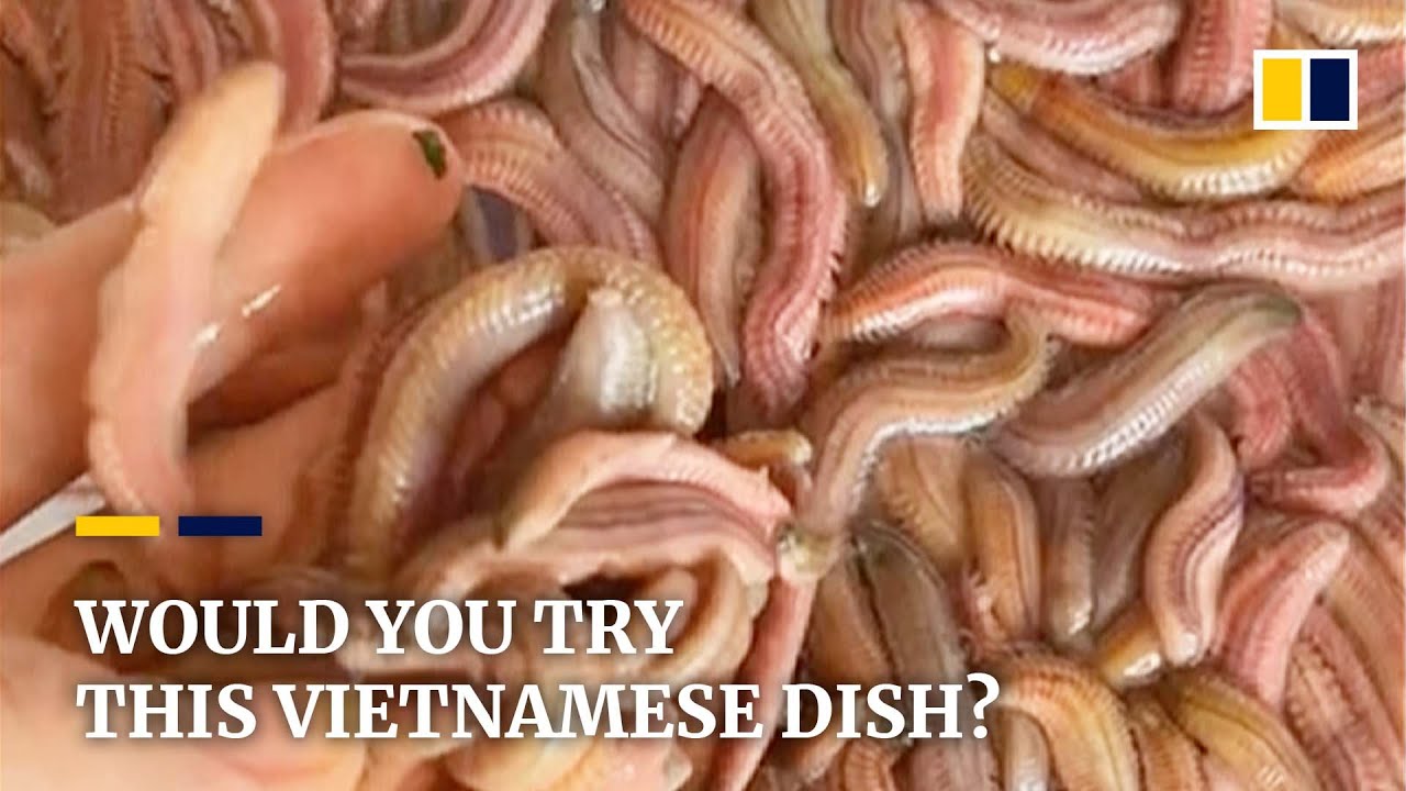 Fried worm omelette: a Vietnamese delicacy not for the squeamish