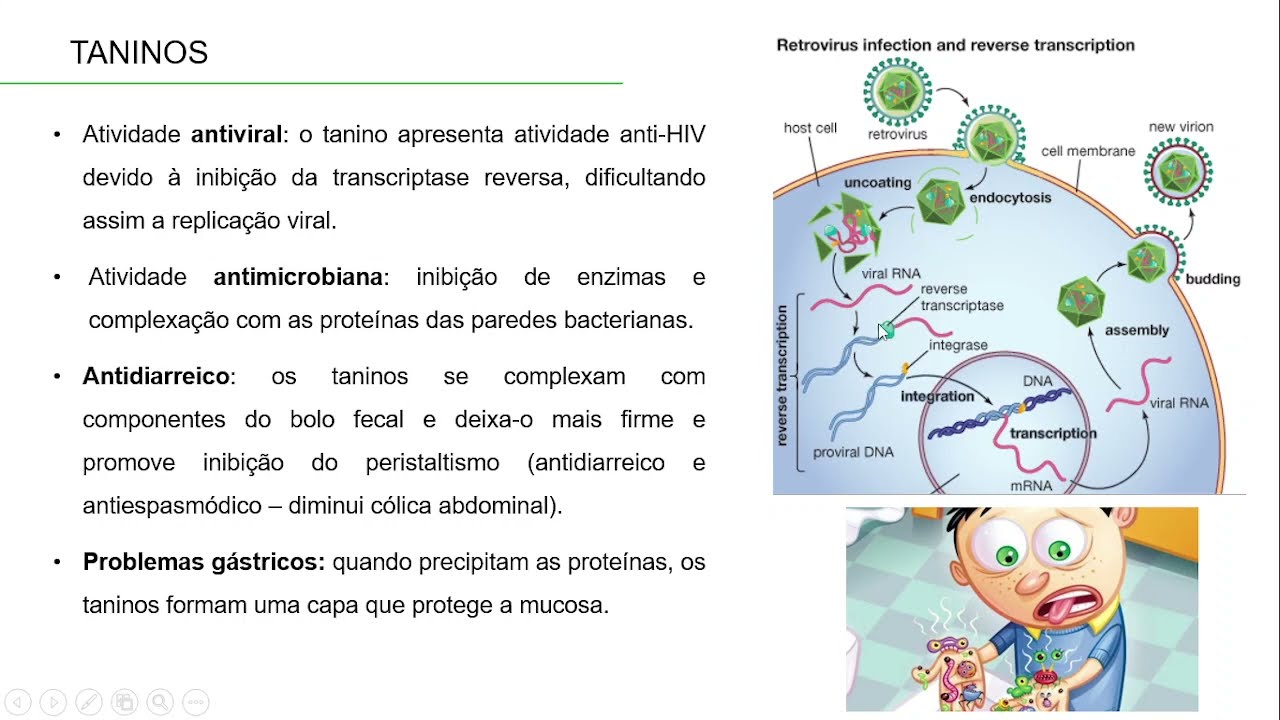 COMPOSTOS FENÓLICOS: TANINOS
