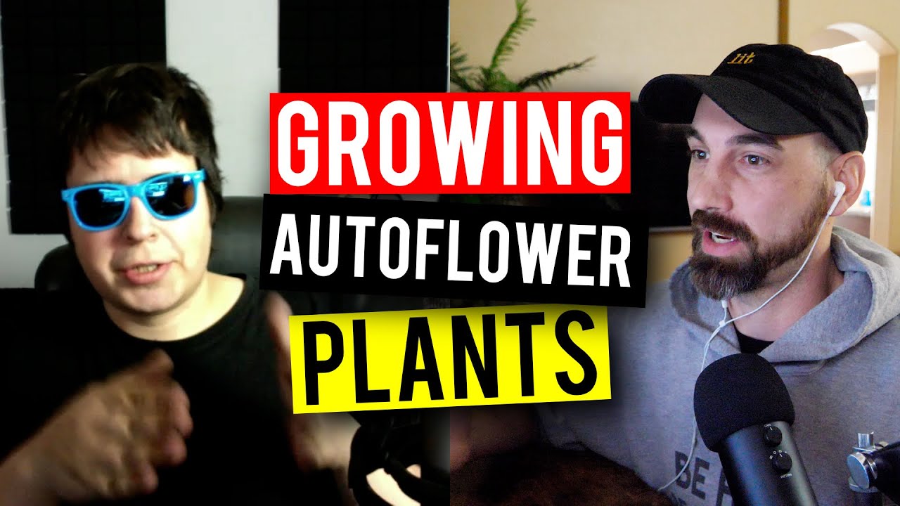 Autoflower Plants & Aerated Compost Teas! (Garden Talk Episode #10)