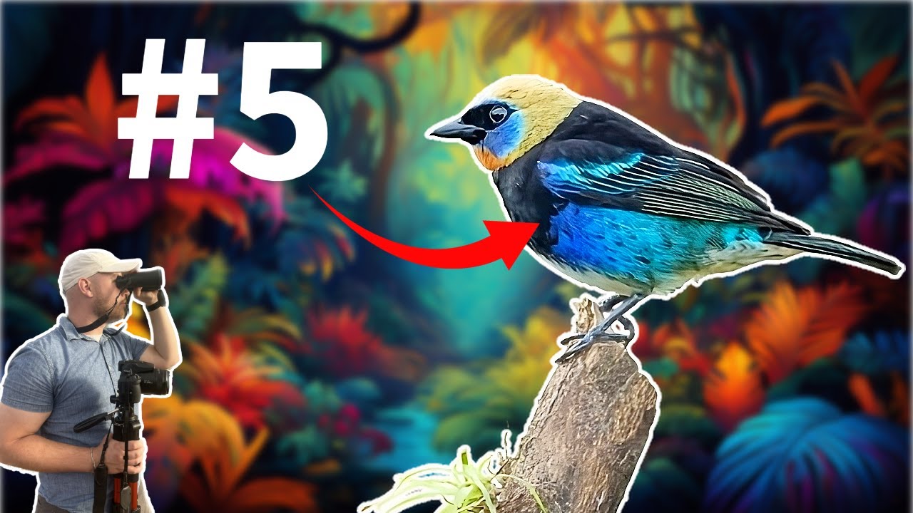 5 More Birds That Will BLOW Your Mind!